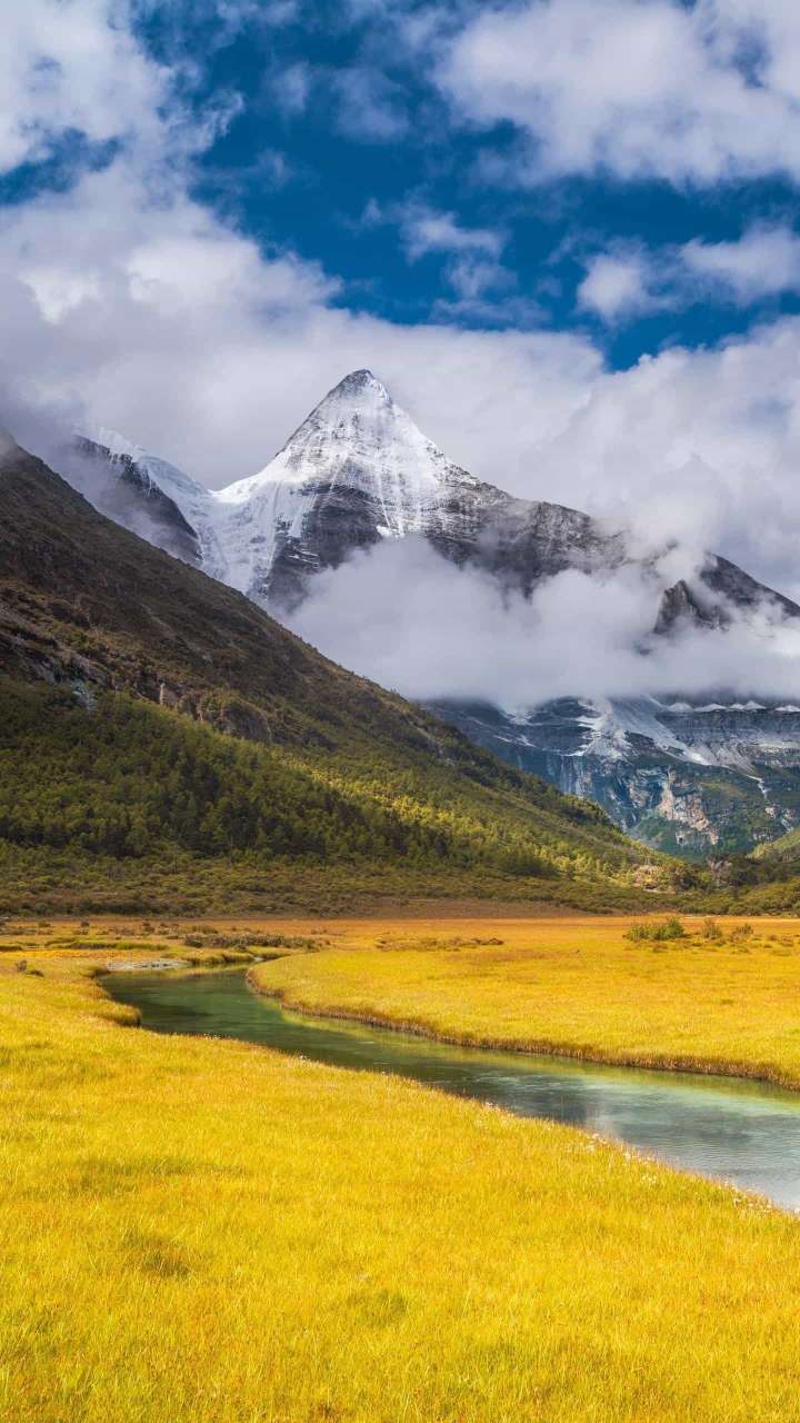找运动老伴搭子