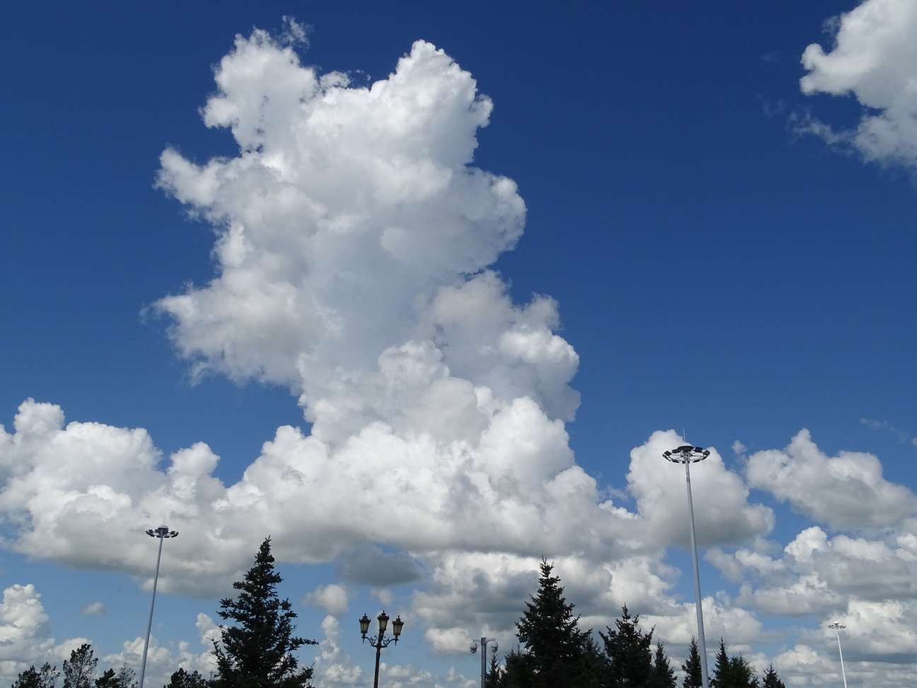 找运动老伴搭子