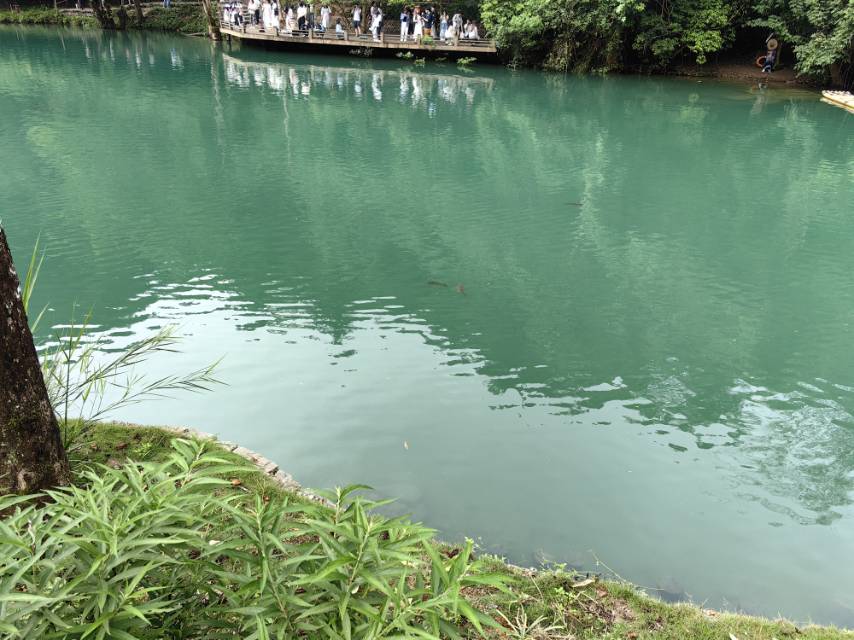 找旅游老伴搭子