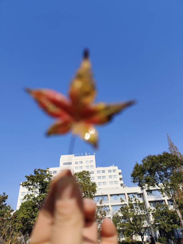 找跑步老伴搭子