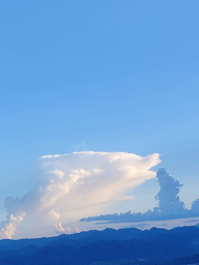 找跑步老伴搭子