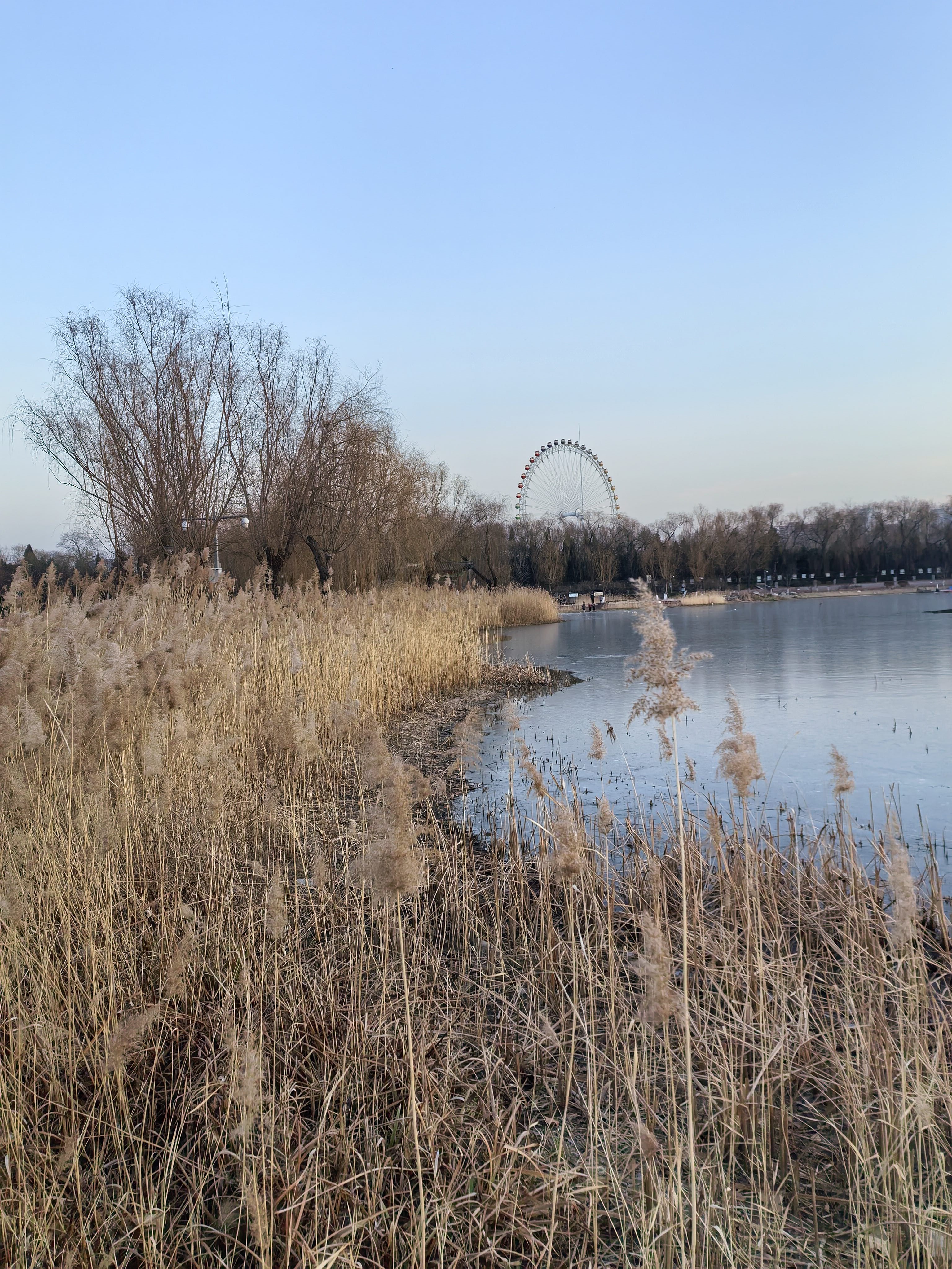 找运动老伴搭子