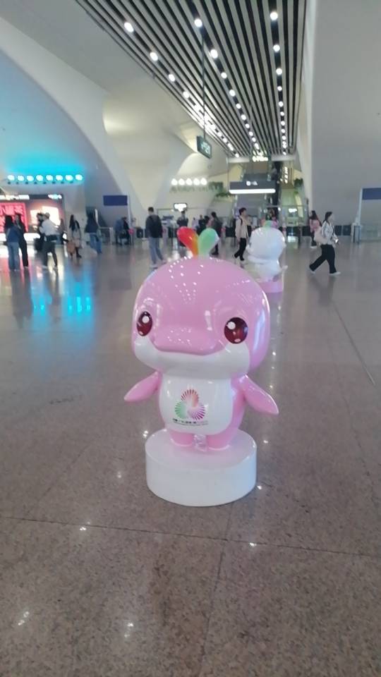 找跑步老伴搭子