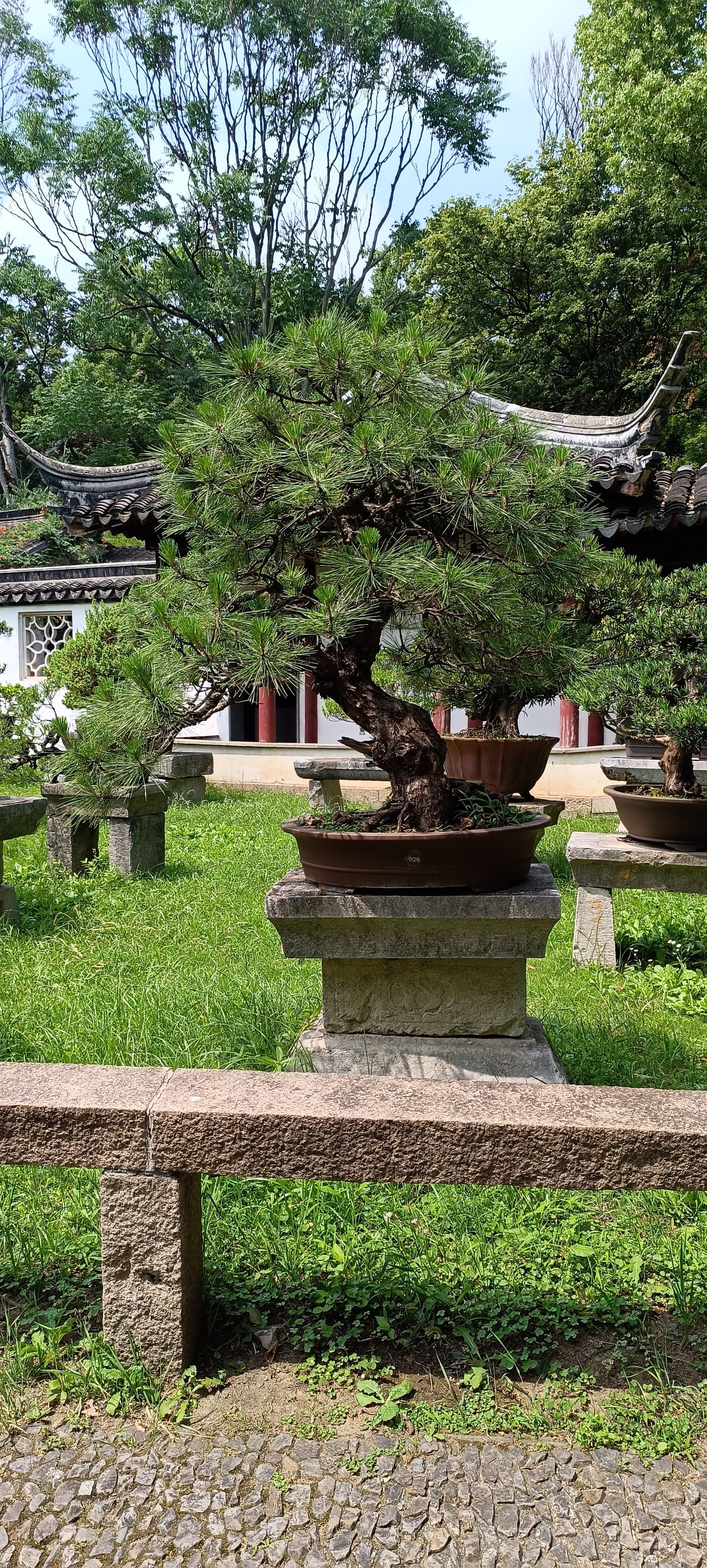 找聊聊天老伴搭子