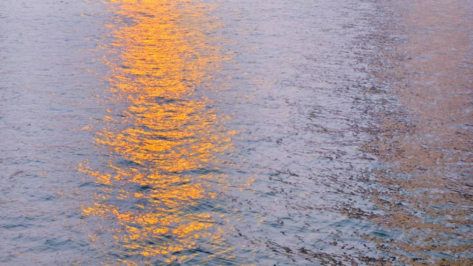 找聊天老伴搭子