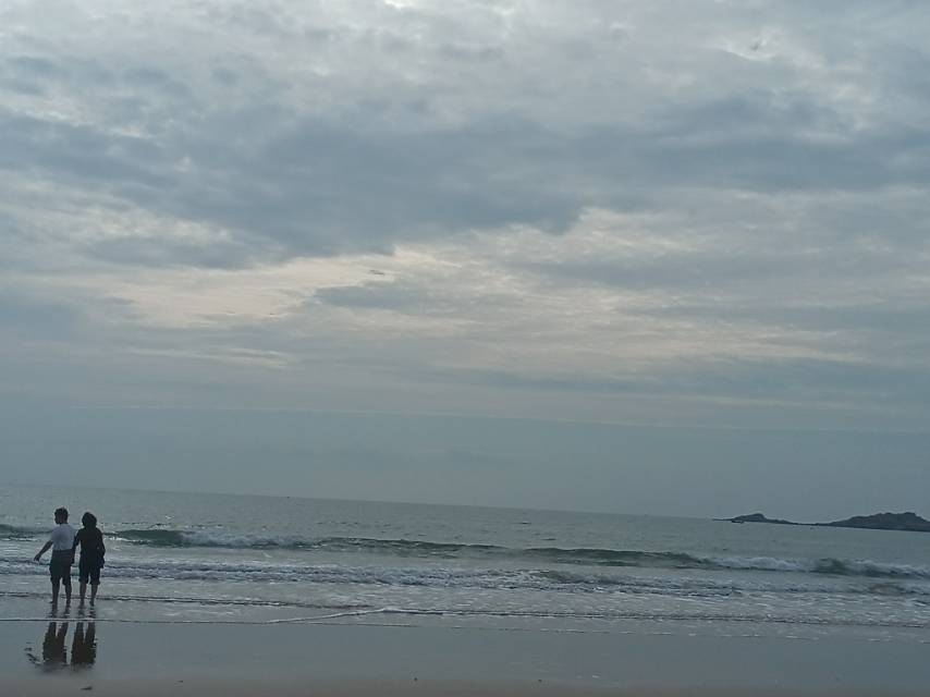 找生活老伴搭子