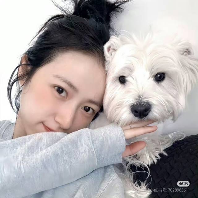 找过日子老伴搭子