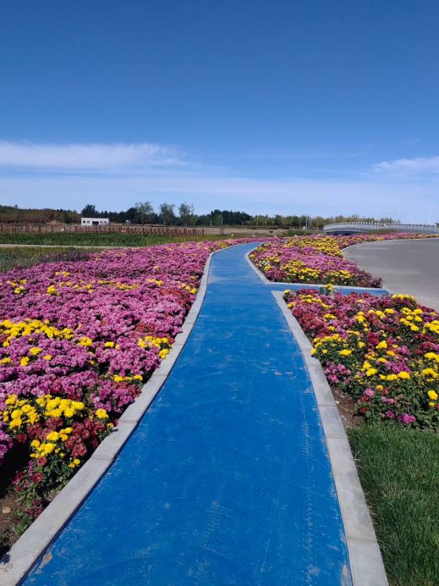 找运动老伴搭子