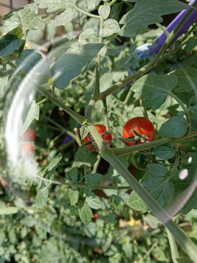 找游泳老伴搭子