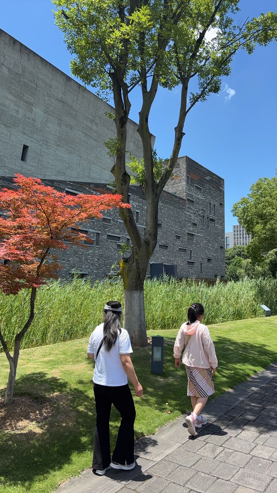 找生活老伴搭子