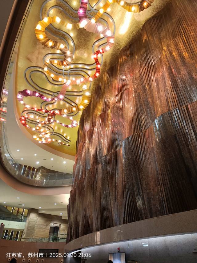 找聊天老伴搭子