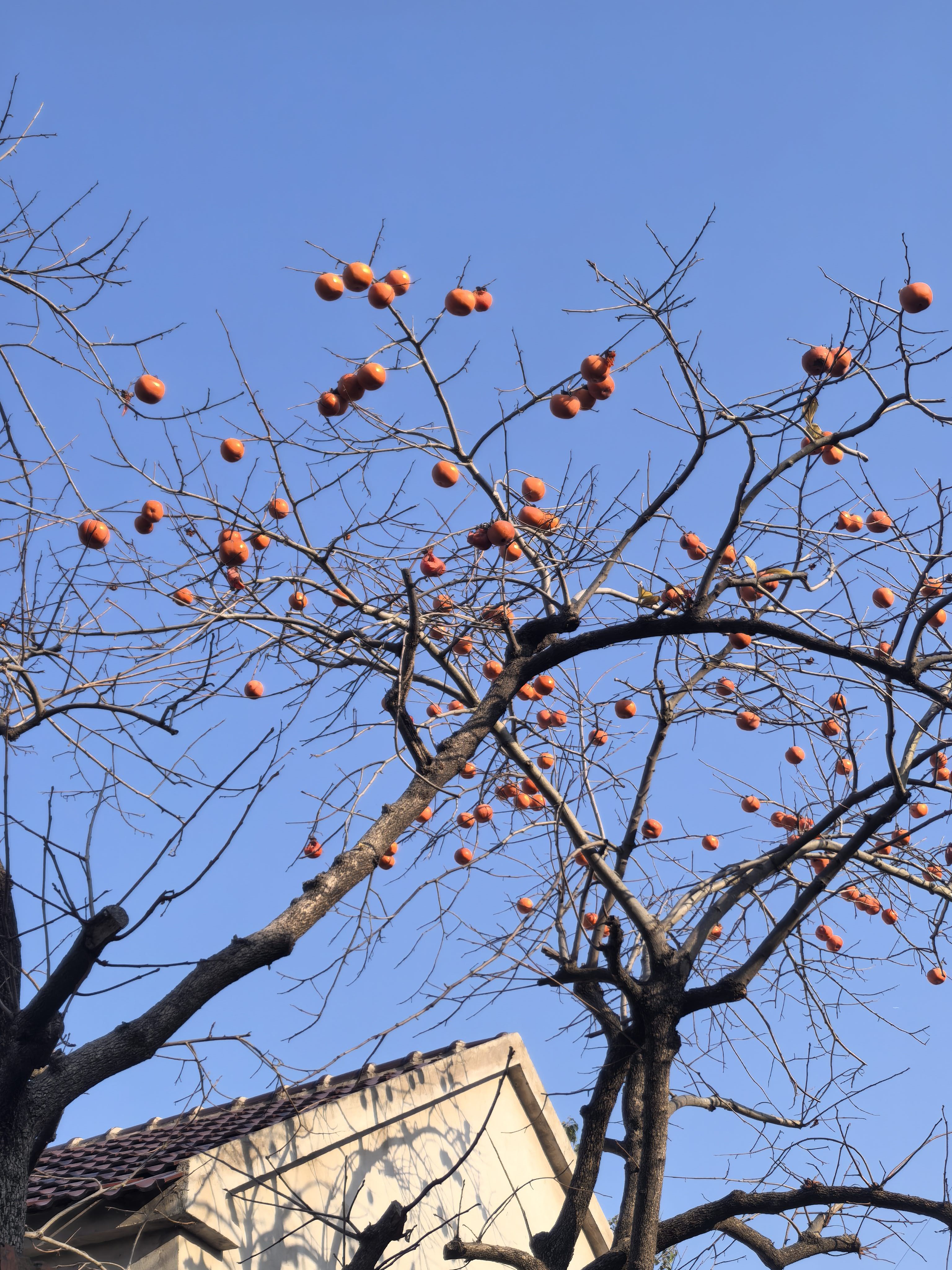 找美食老伴搭子