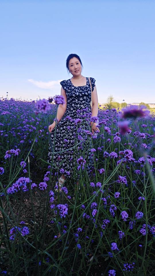 找生活老伴搭子