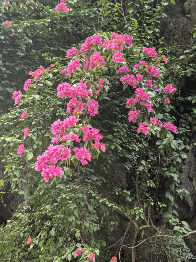 找聊天老伴搭子
