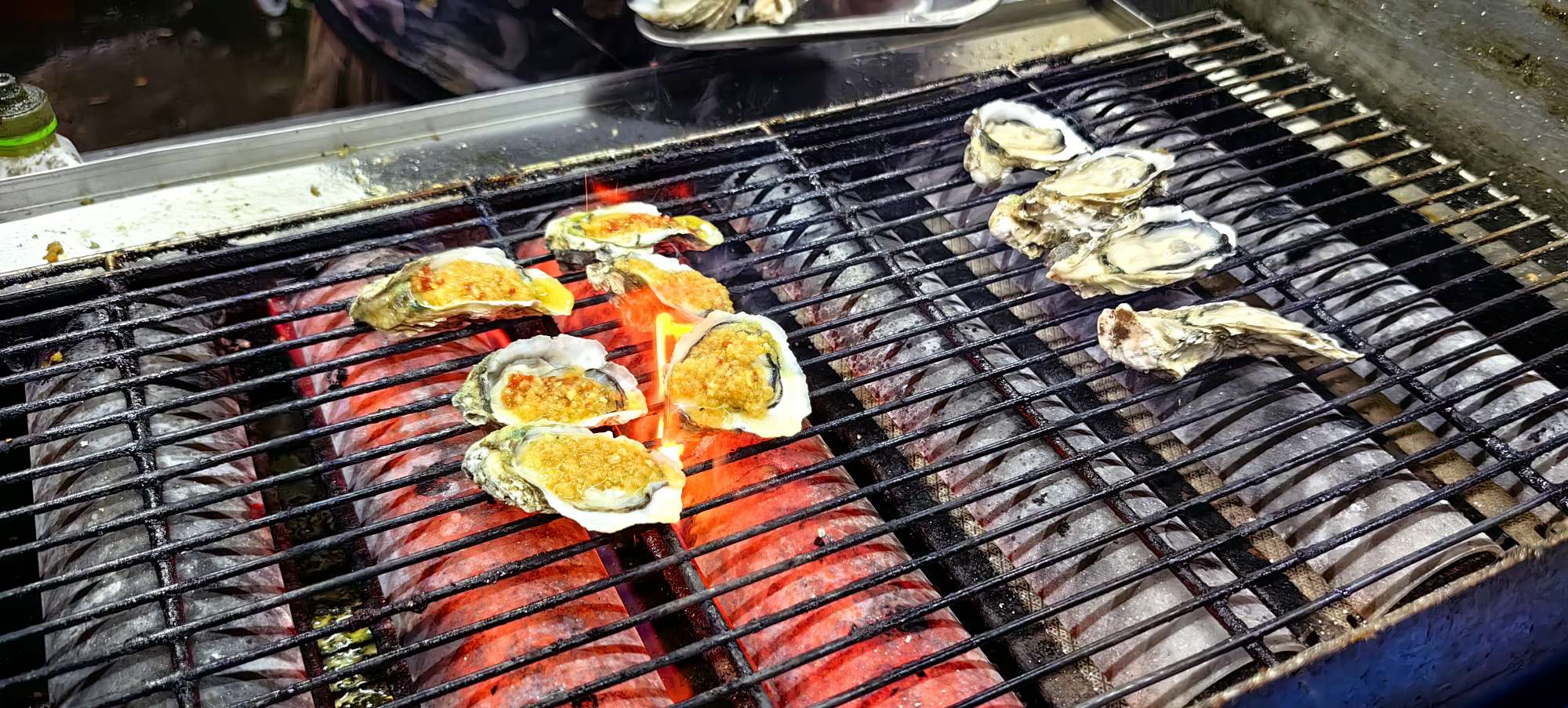 找喜欢分享的老伴搭子