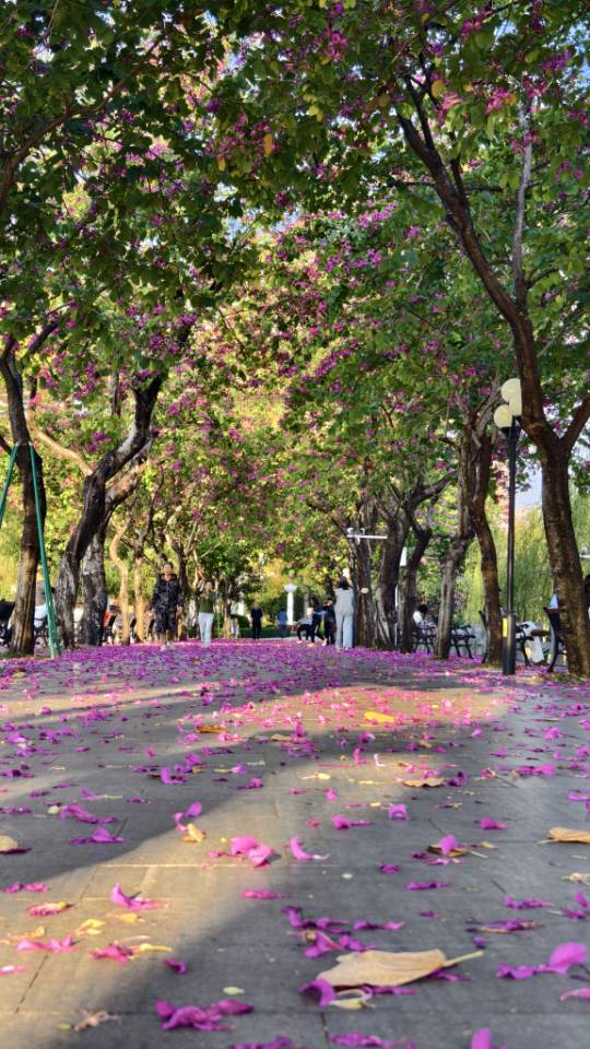 找生活与旅行老伴搭子