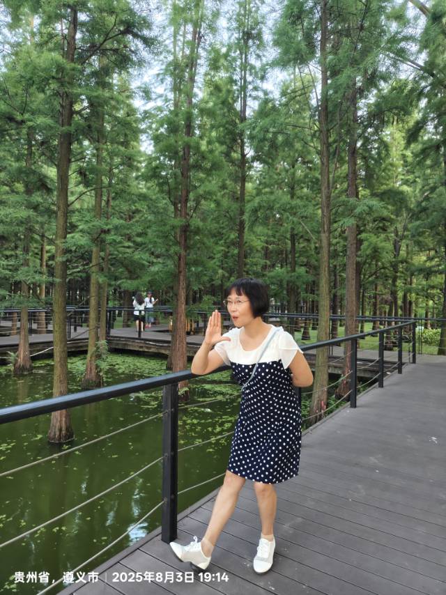 找陪伴左右的老伴搭子