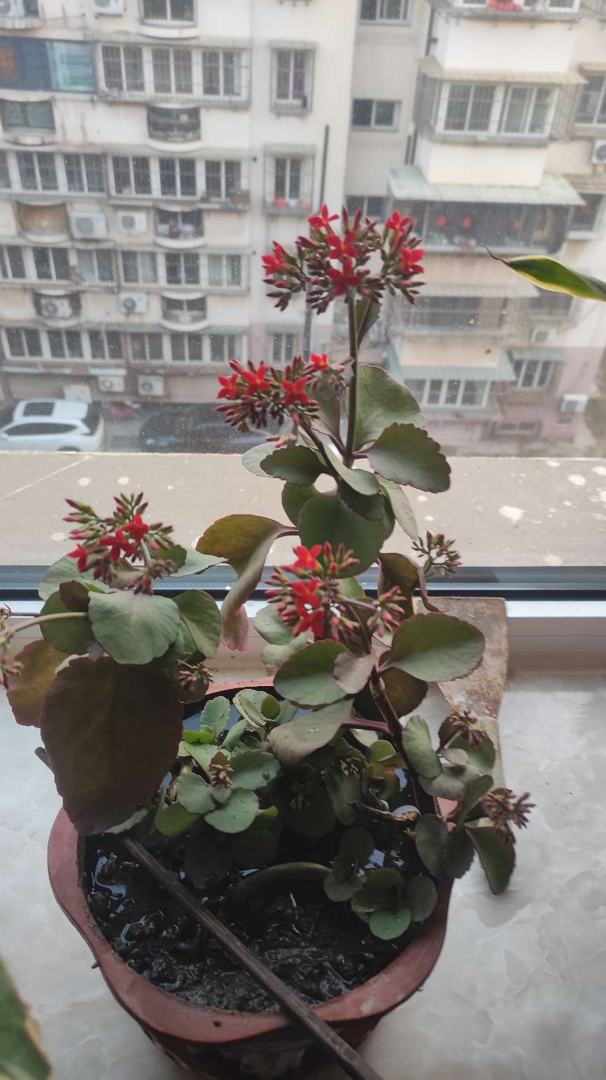 找交心老伴搭子