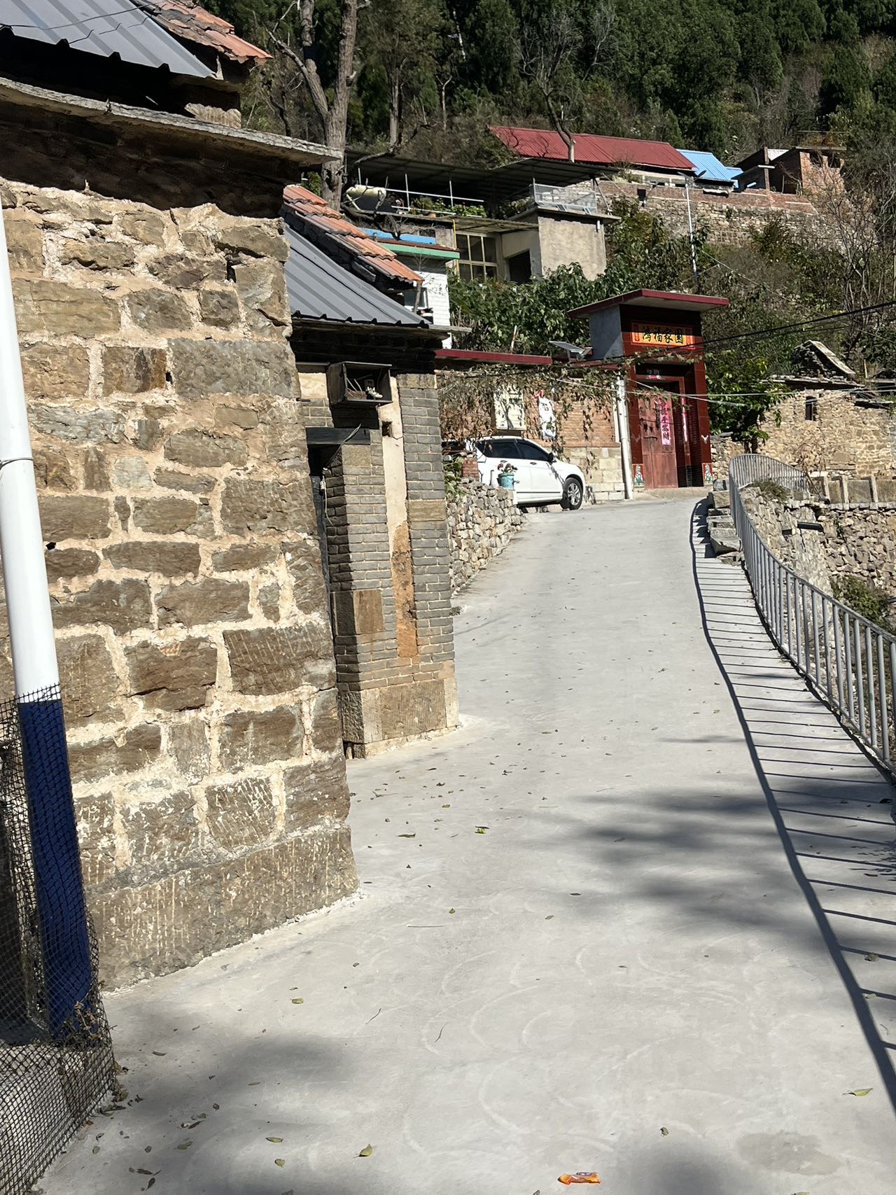 找聊天老伴搭子