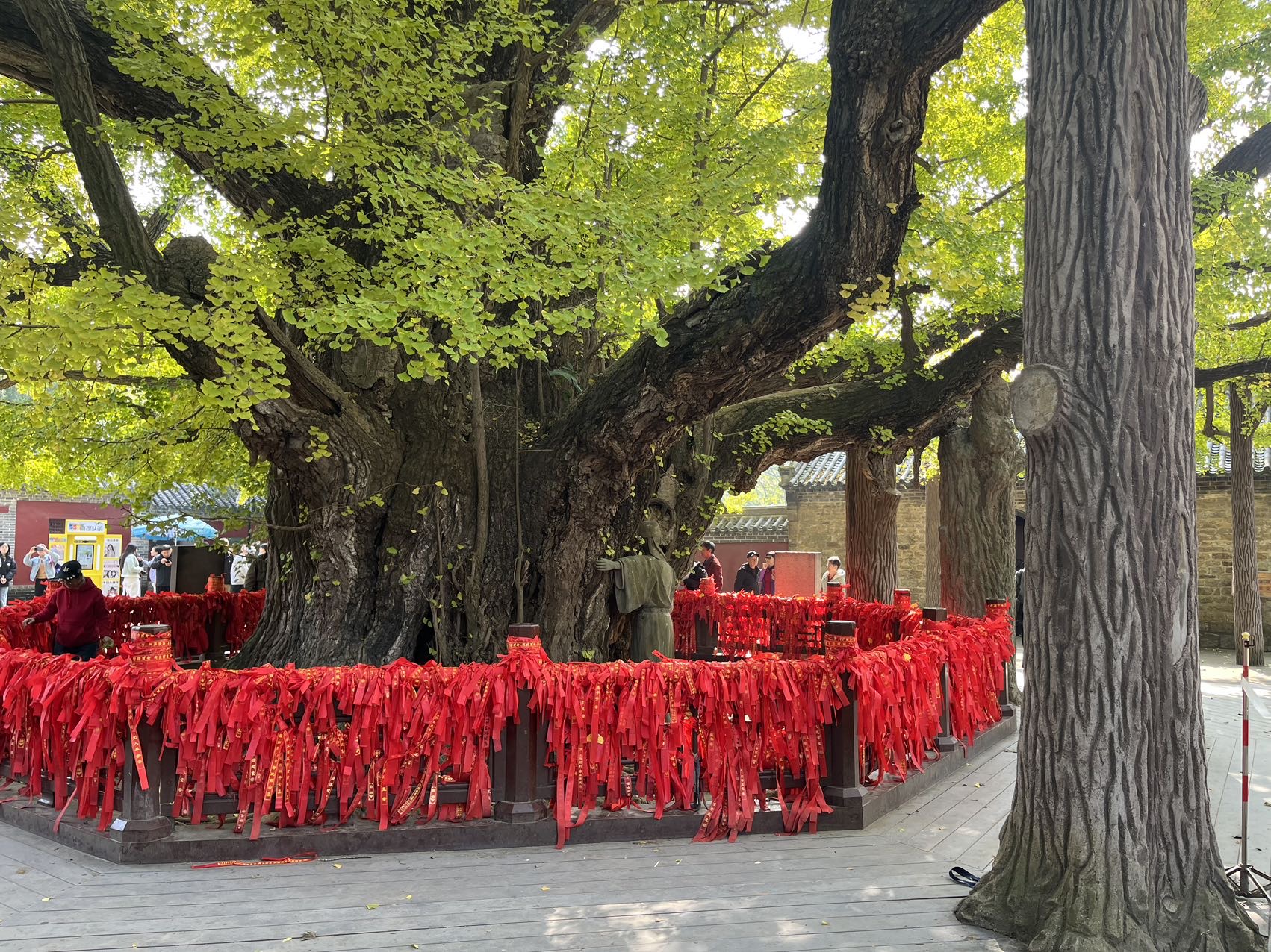 找聊天老伴搭子