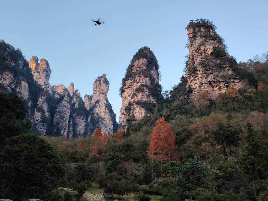 找游伴老伴搭子