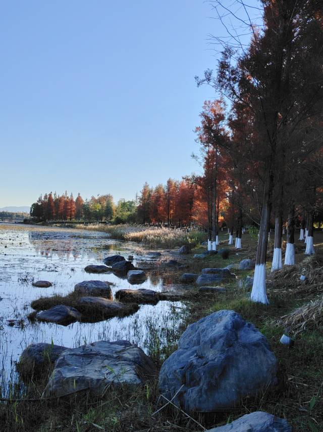 找游伴老伴搭子