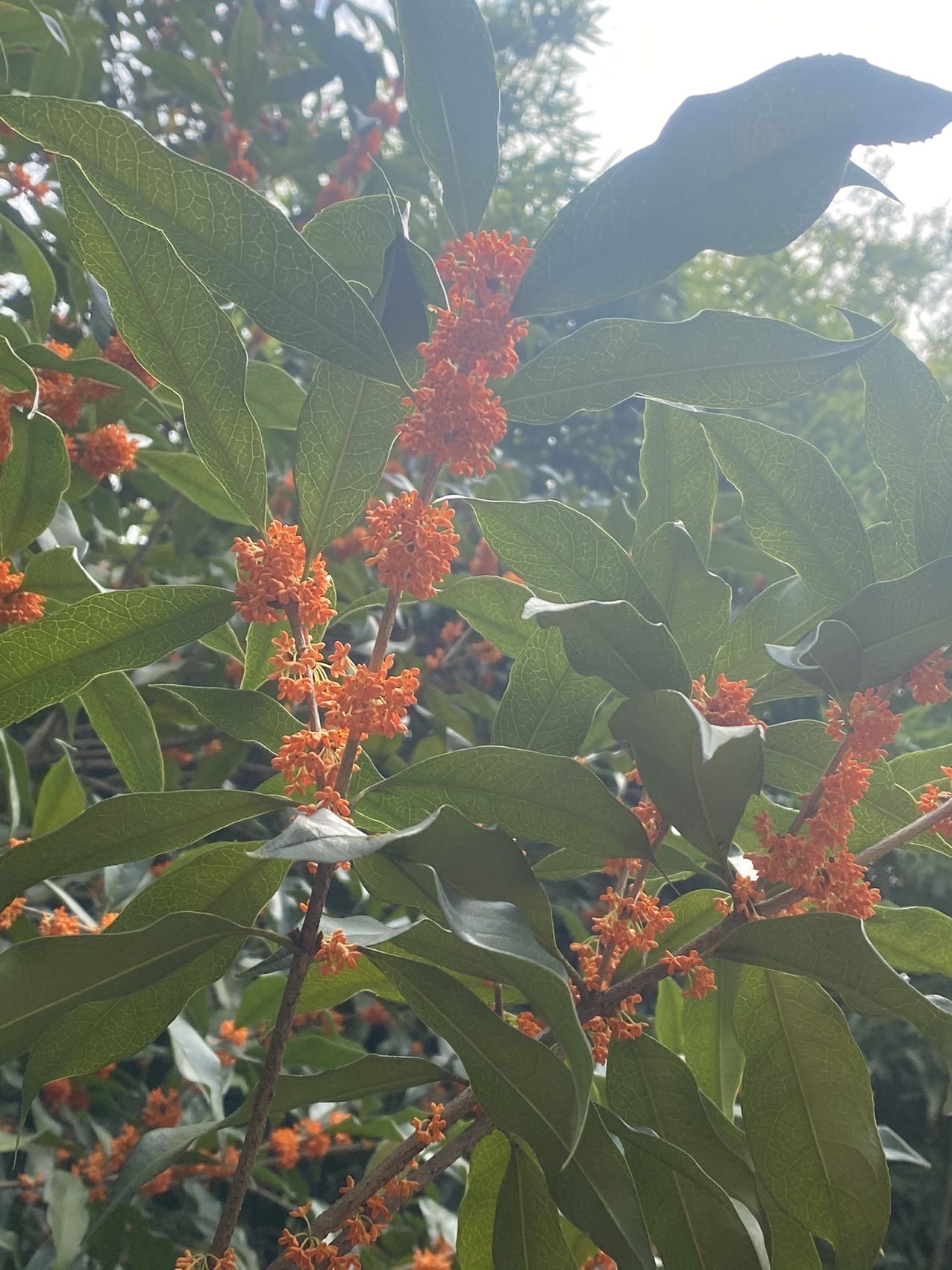 找有幽默感的老伴搭子