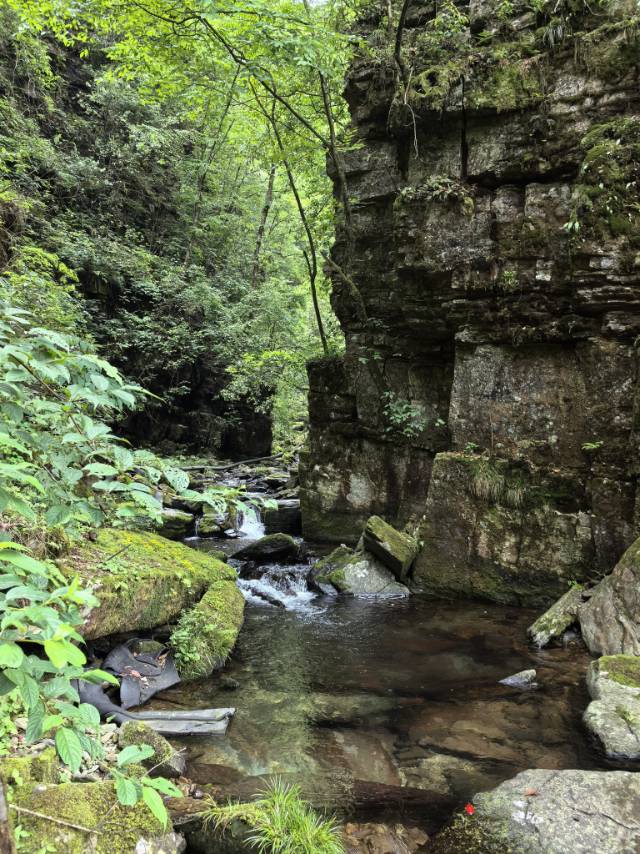 找户外爬山老伴搭子