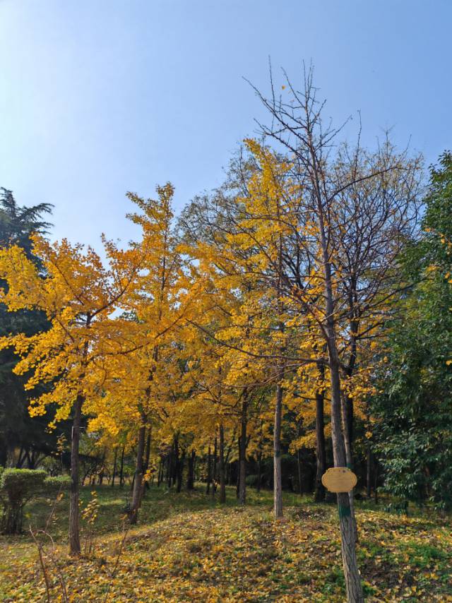 找运动老伴搭子