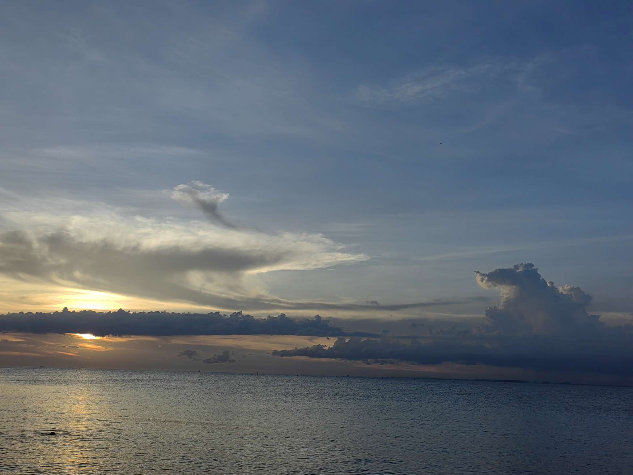 找真诚老伴搭子