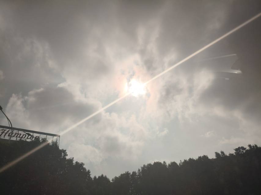 找生活老伴搭子