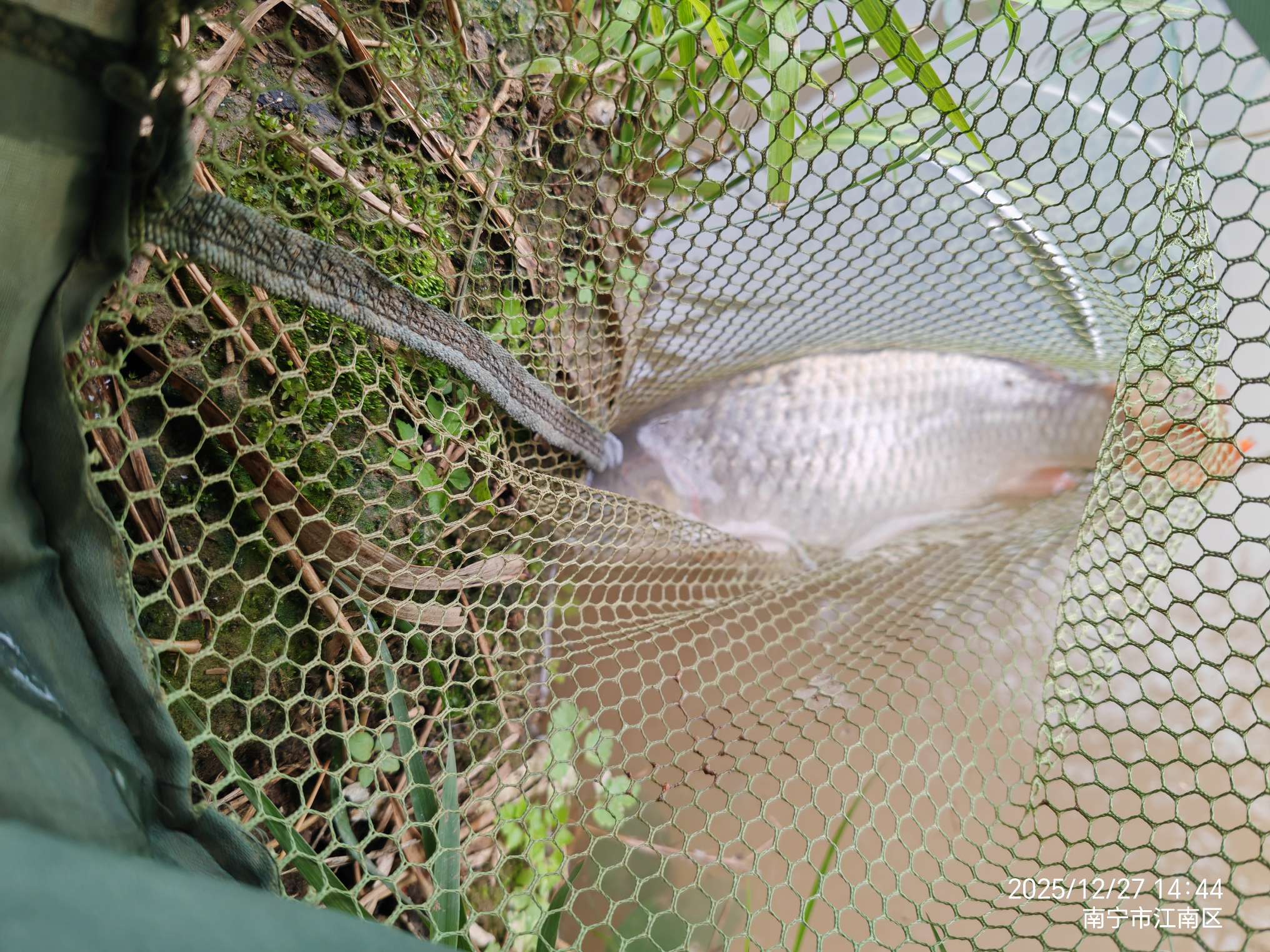 找钓鱼老伴搭子