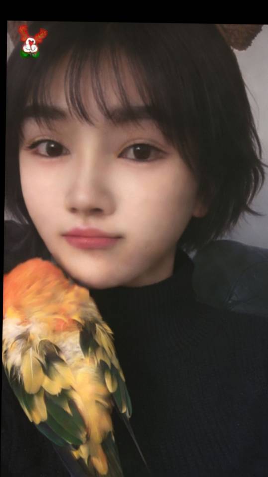 找交友老伴搭子