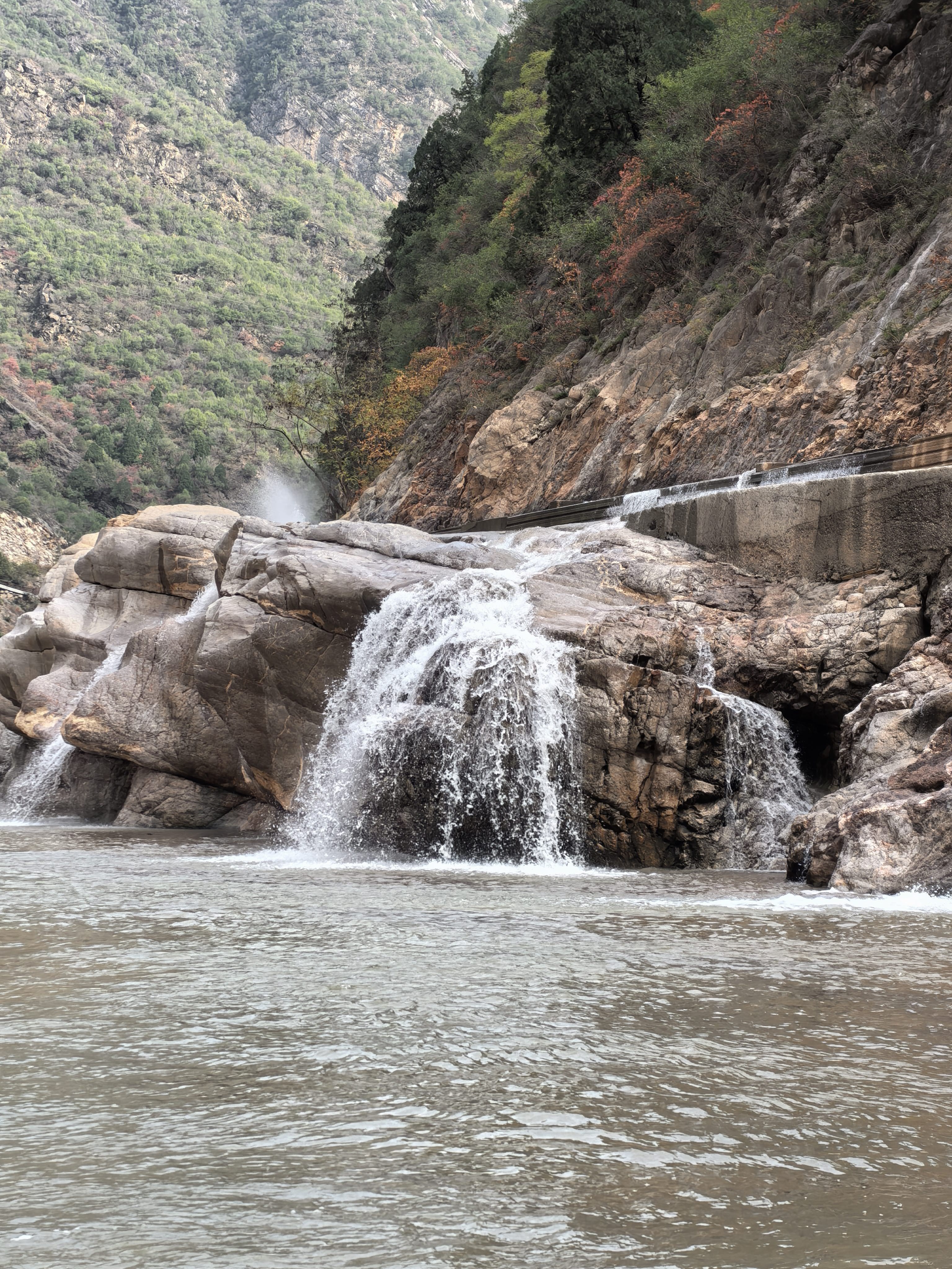 找生活老伴搭子