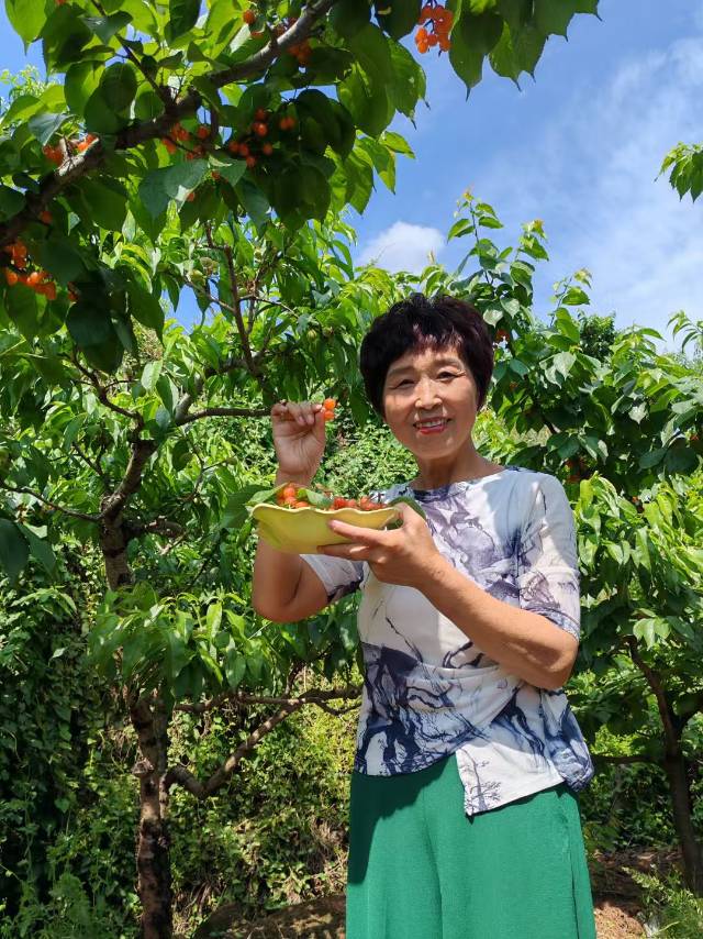 找合肥市退休老伴搭子