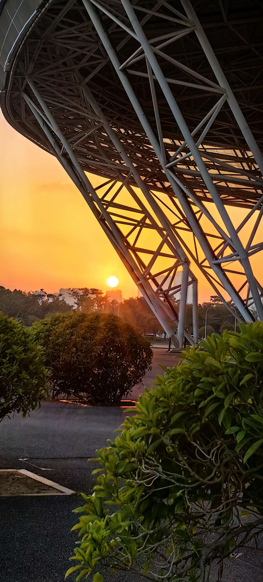 找跑步老伴搭子