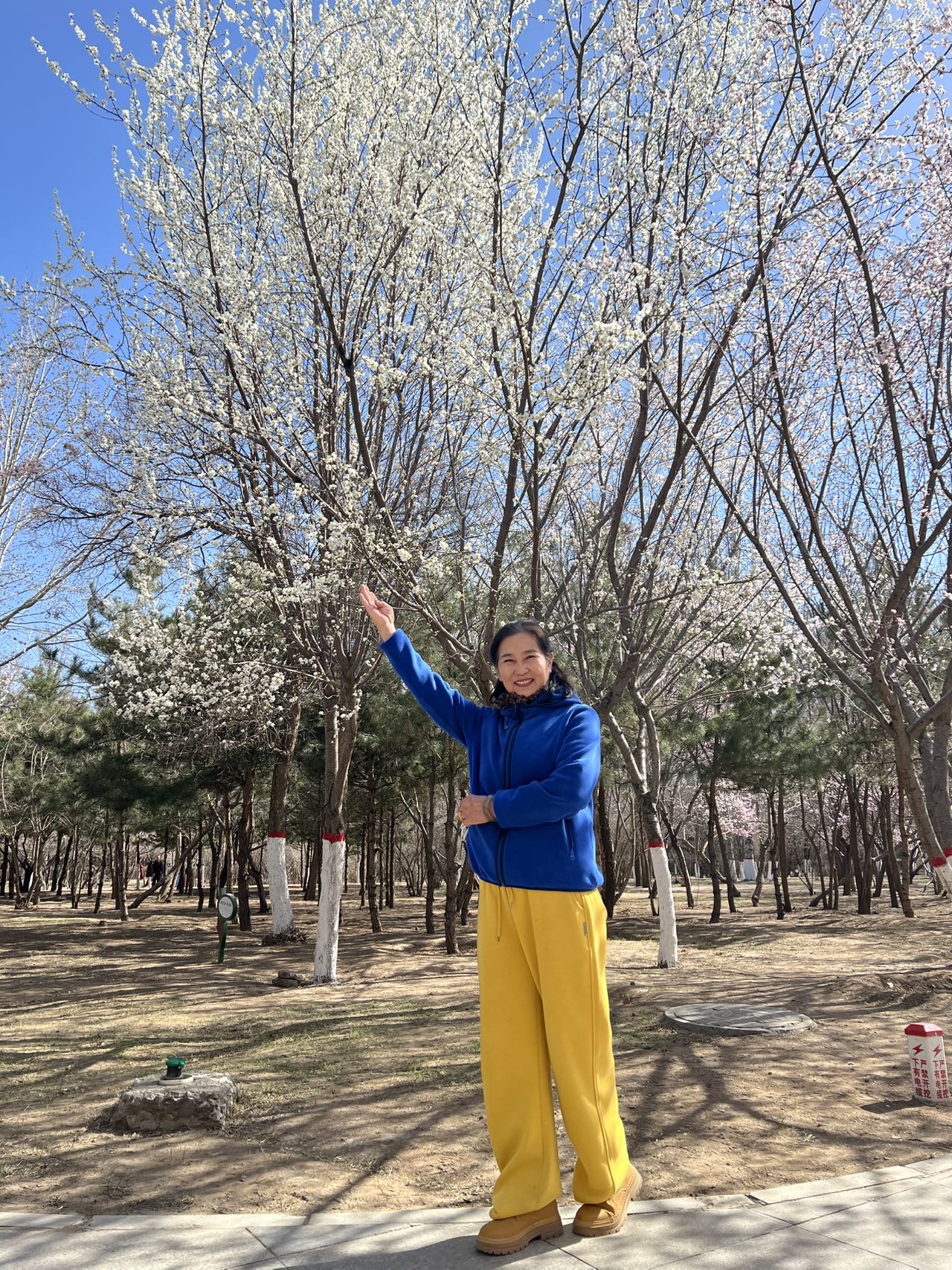 找生活老伴搭子