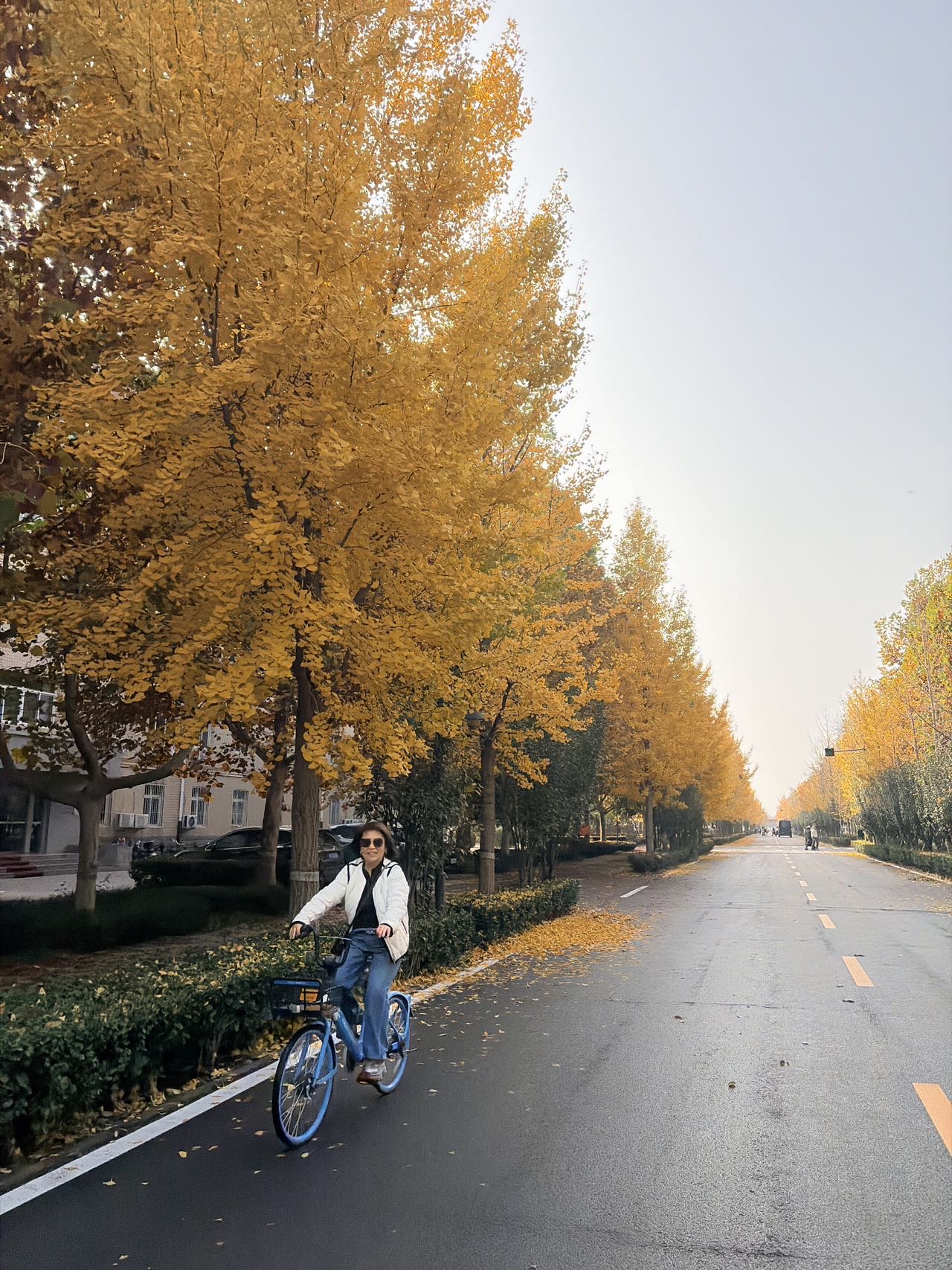 找聊天老伴搭子