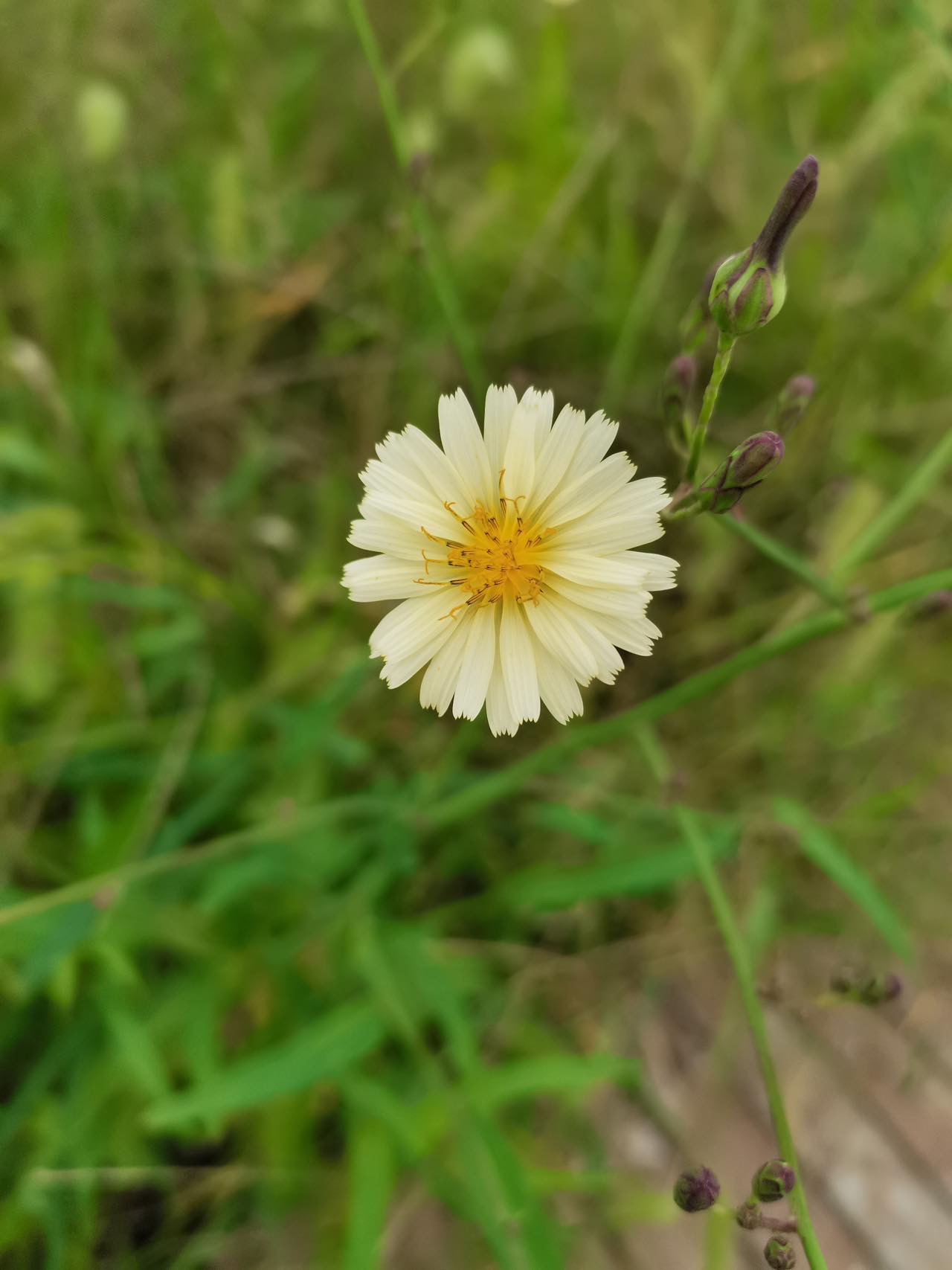 找聊天老伴搭子