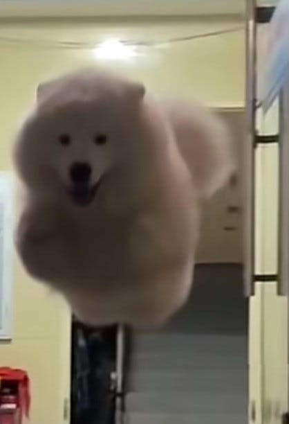 找情感老伴搭子