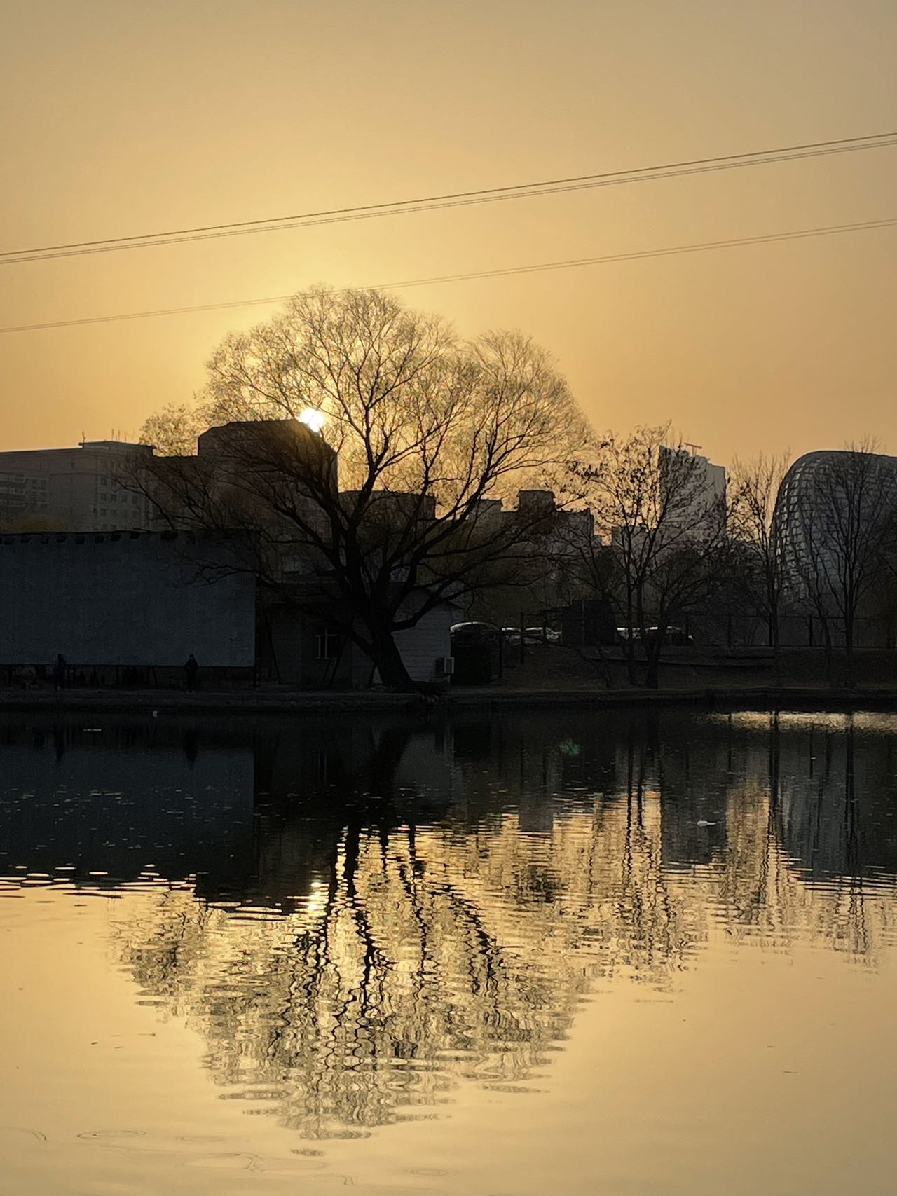 找过年老伴搭子