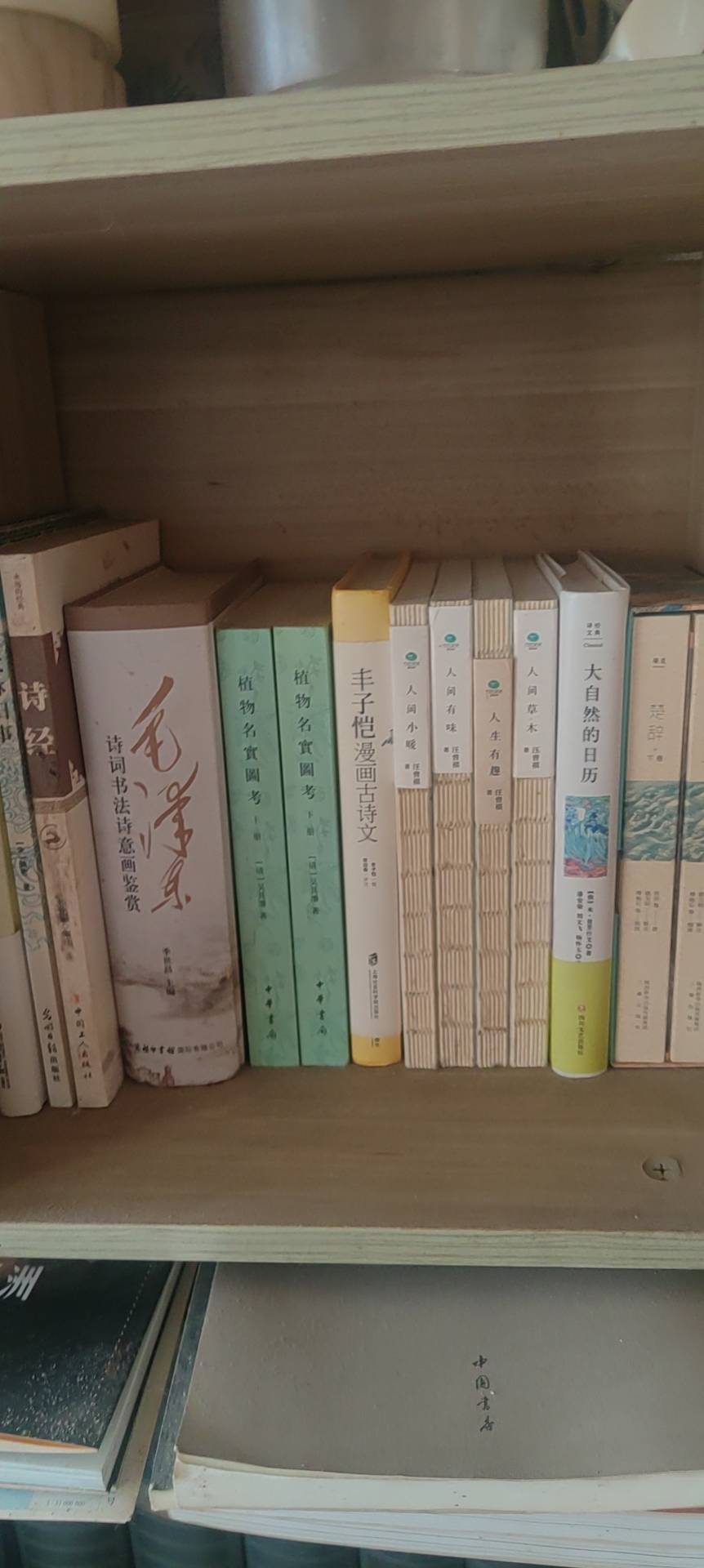 找书香散步老伴搭子