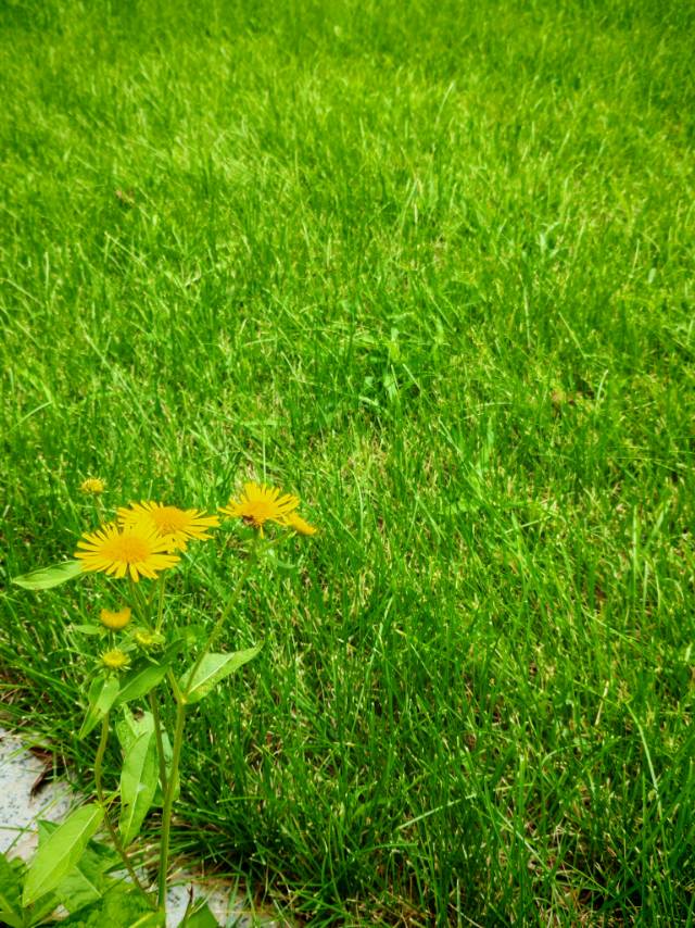 找聊天老伴搭子