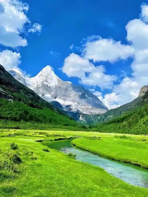 找聊天老伴搭子