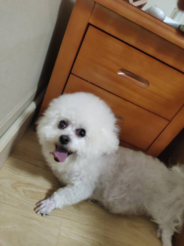 找运动老伴搭子