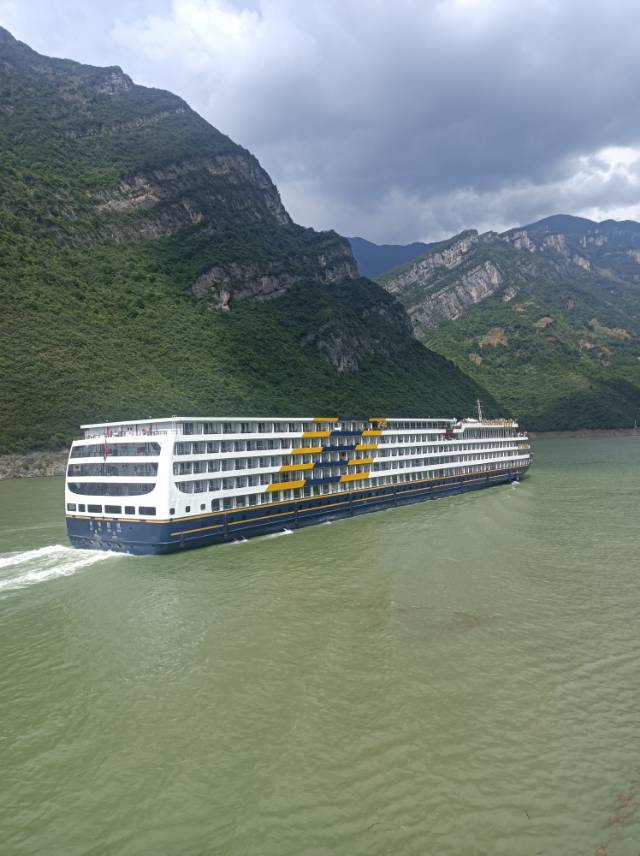 找伴侣老伴搭子