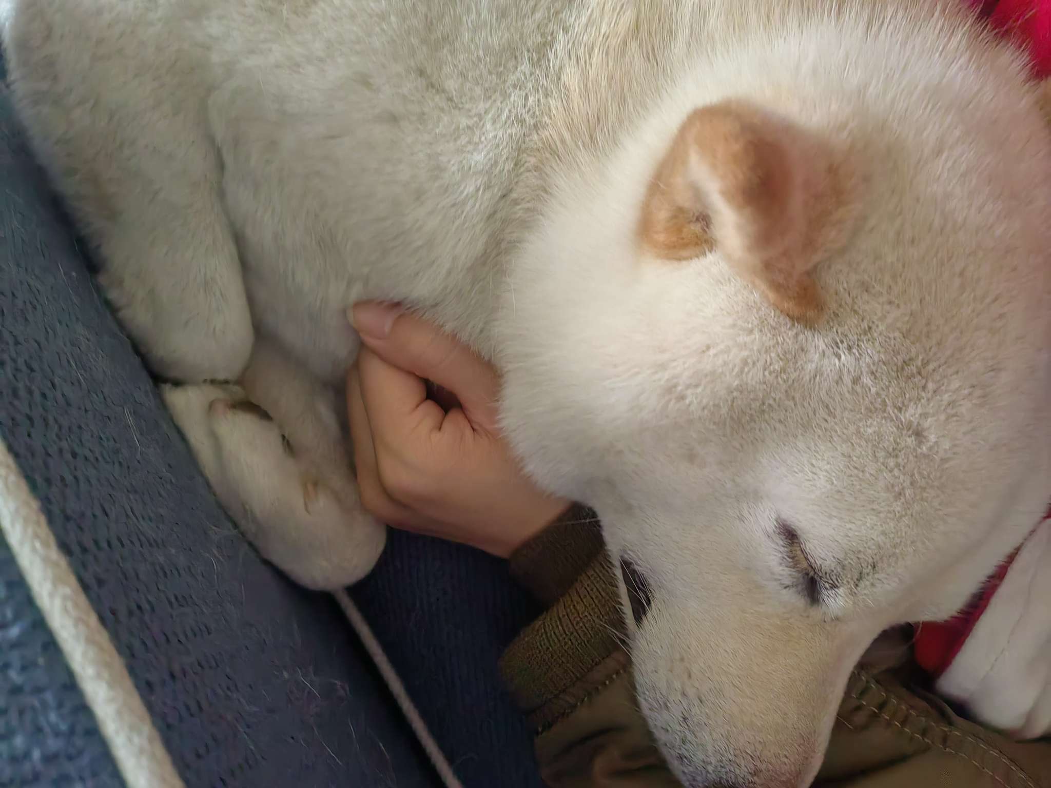 找运动老伴搭子