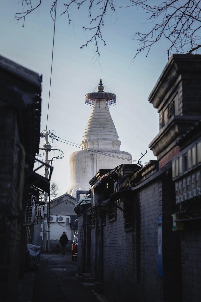 找二胡老伴搭子