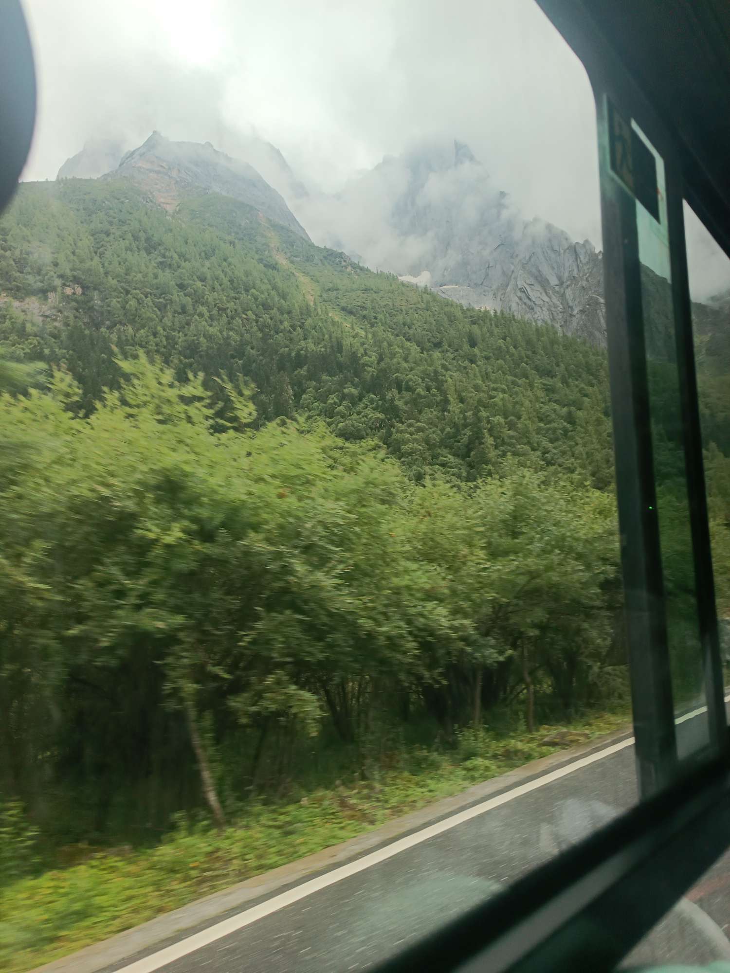 找聊天老伴搭子