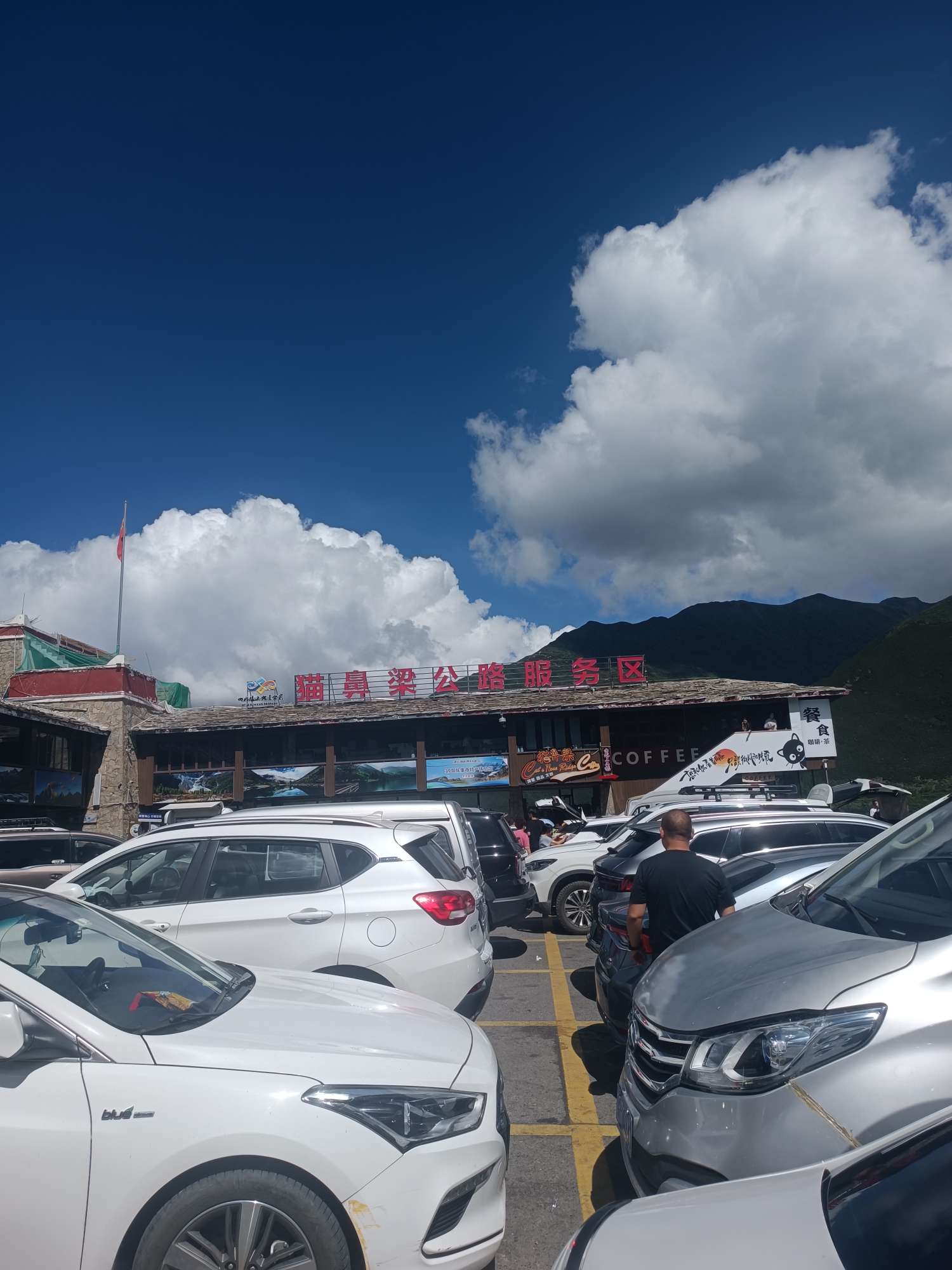 找聊天老伴搭子